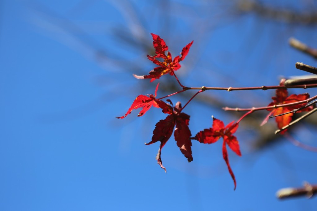 The last fragment of 2013 