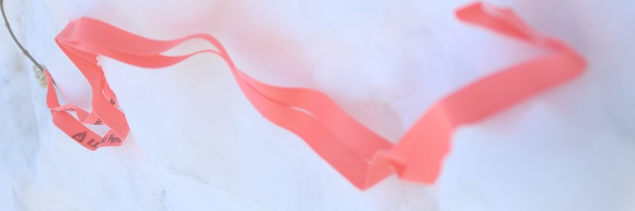 スキーに付けるリボン。パウダースノーであれば、邪魔にならない。