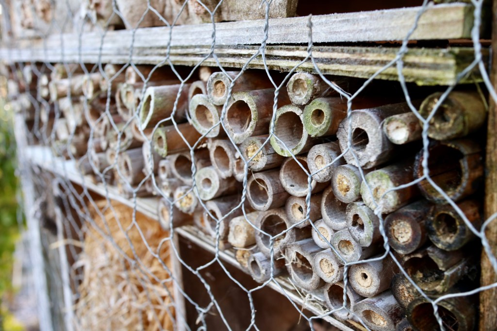 Insect Hotels